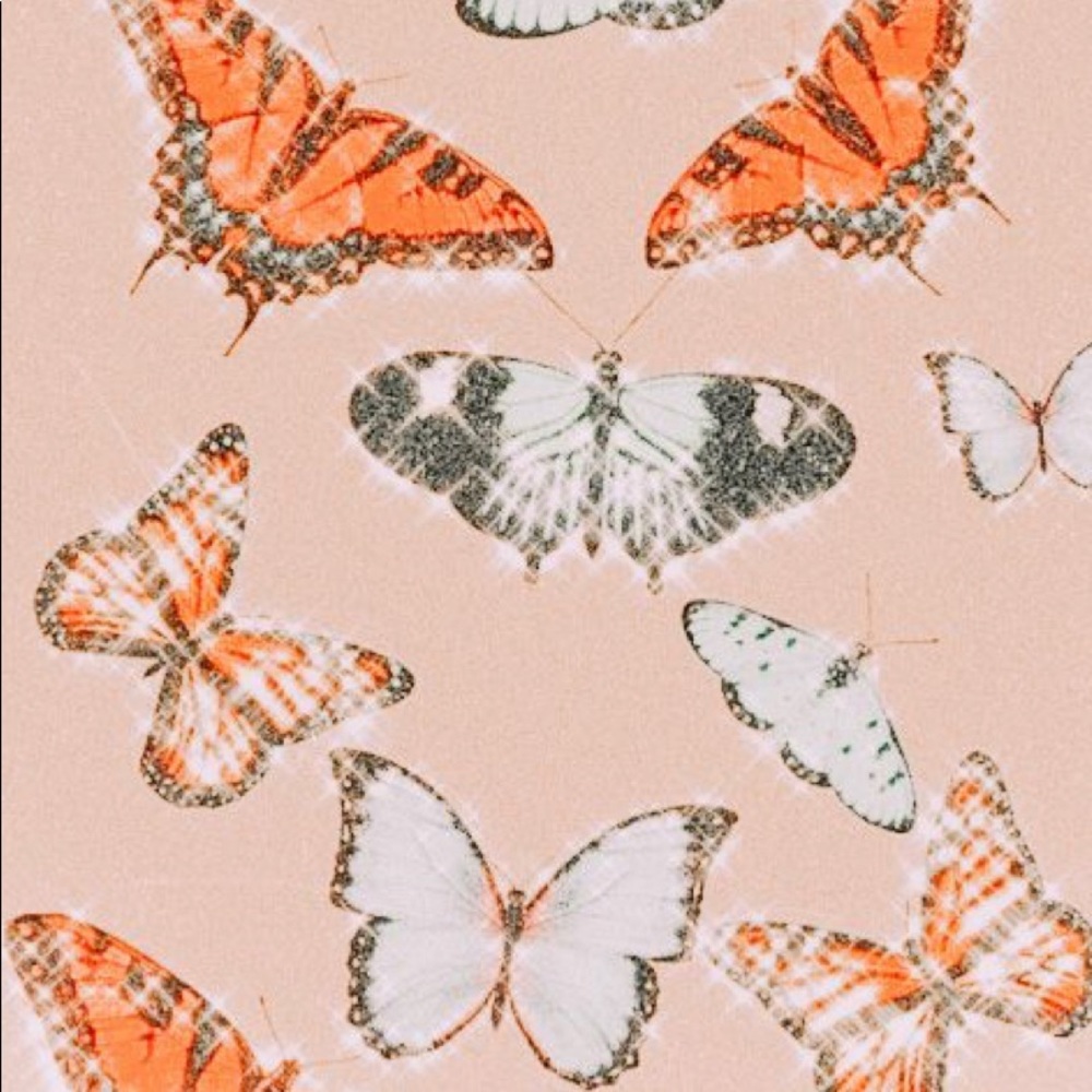 Meet your Posher, Ryleigh